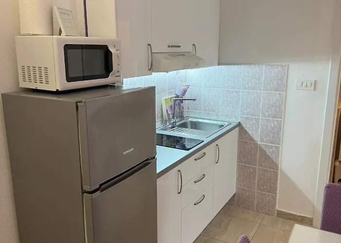 Sea Life With Balcony And Sea View